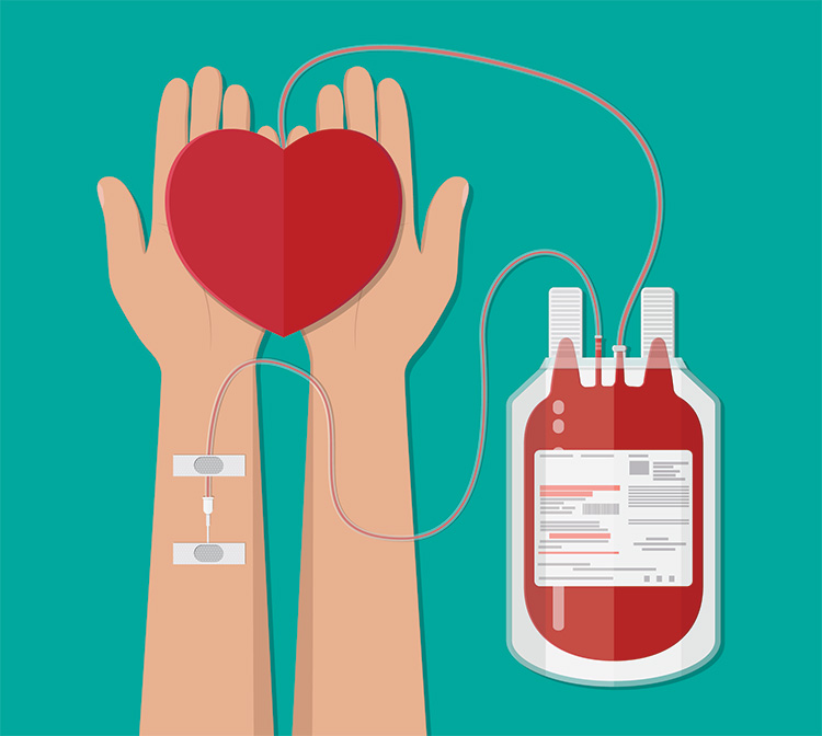 Blood donation can lead to iron deficiency